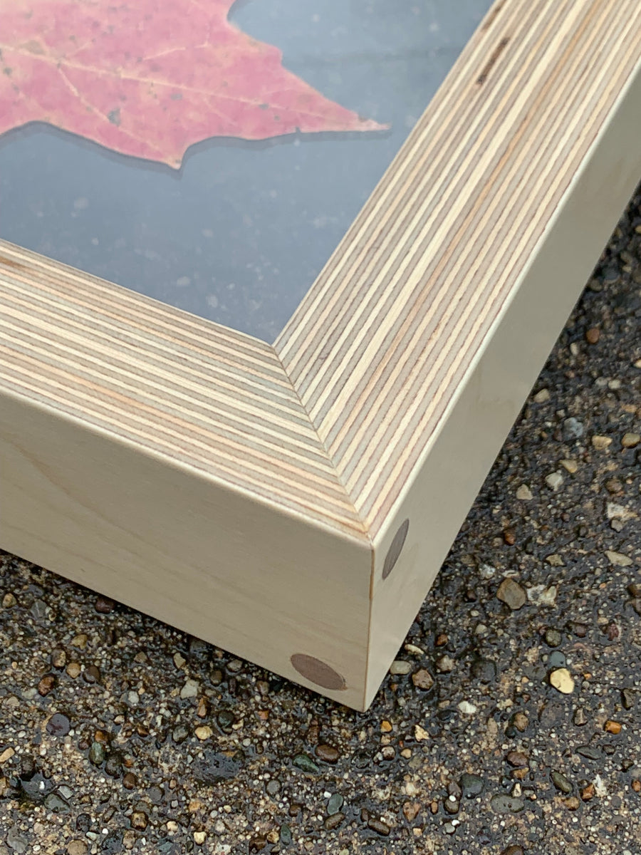 Leaf Pressings in Handmade Baltic Birch Plywood Beveled Frames