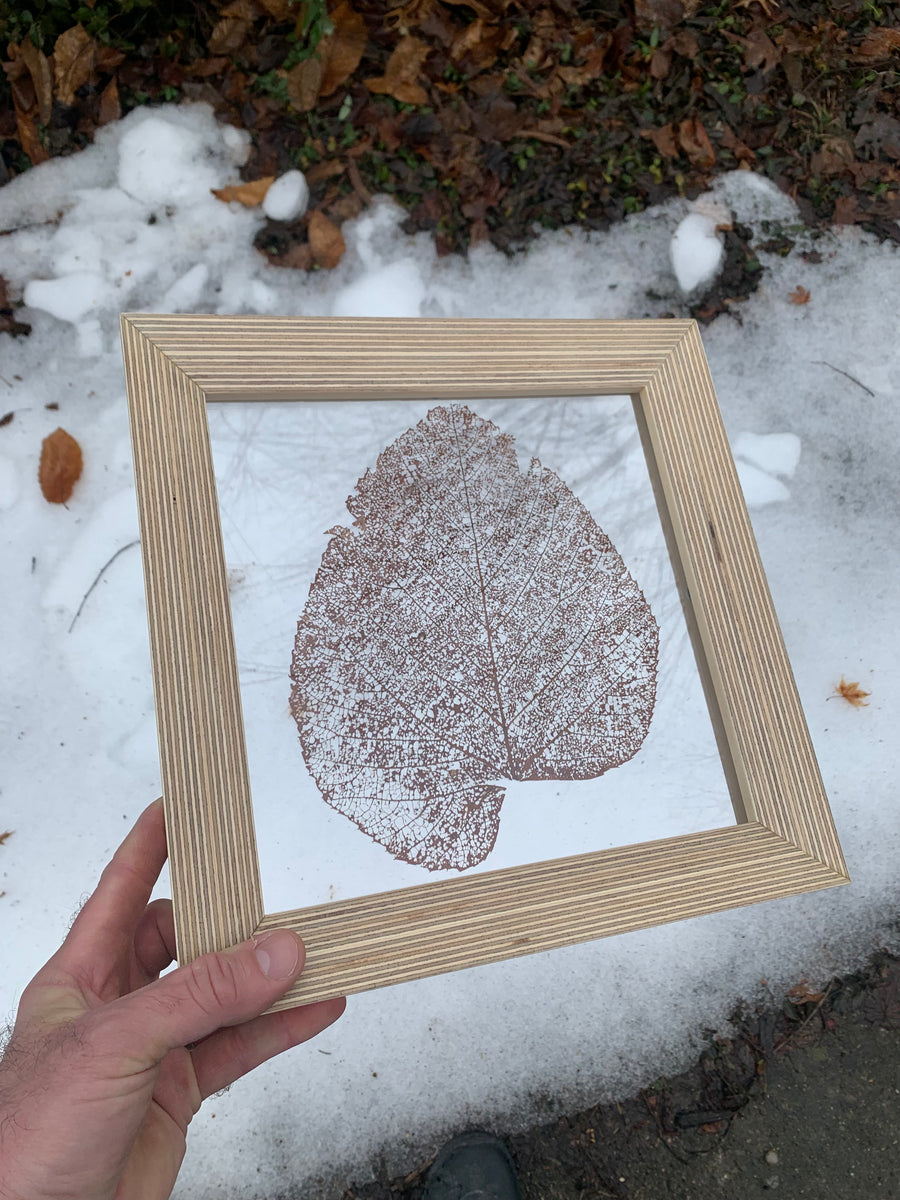 Leaf Pressings in Handmade Baltic Birch Plywood Beveled Frames