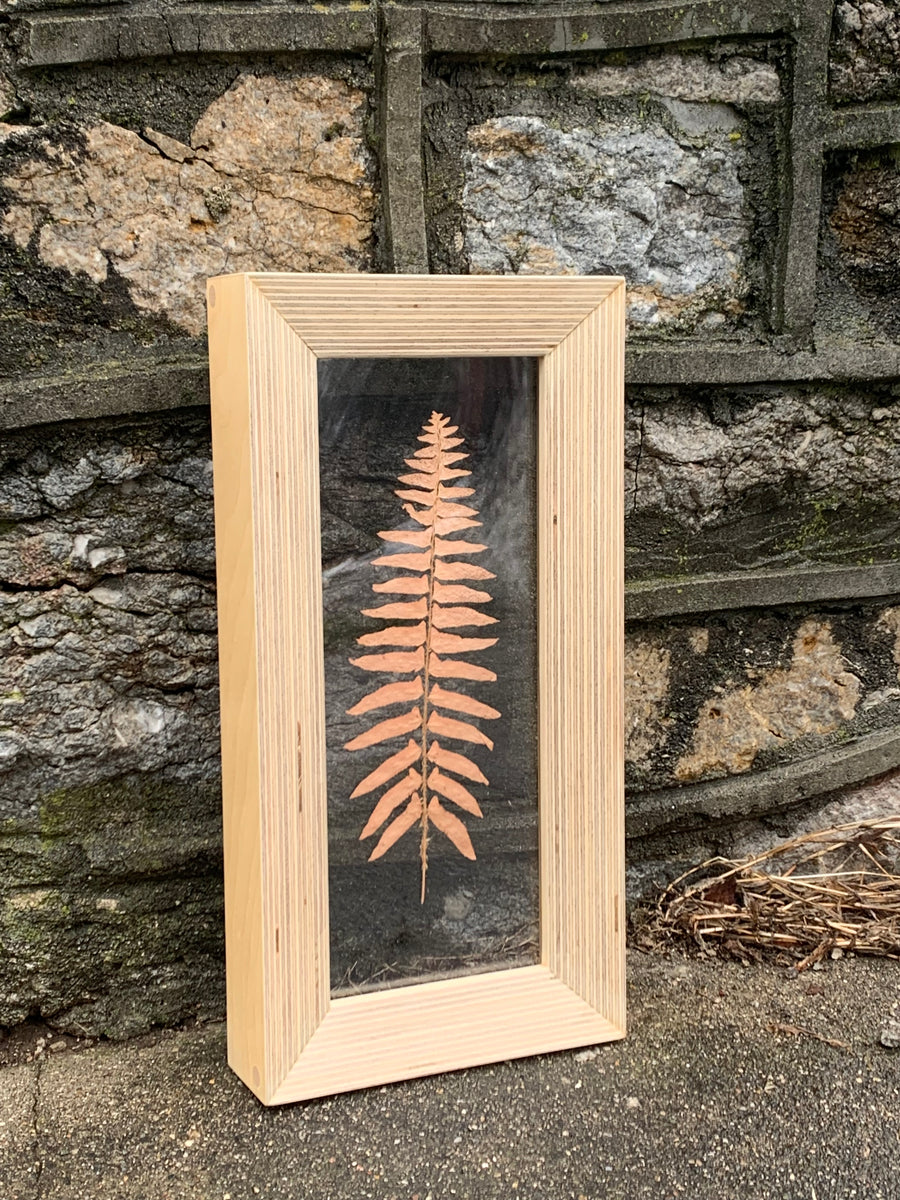 Leaf Pressings in Handmade Baltic Birch Plywood Beveled Frames