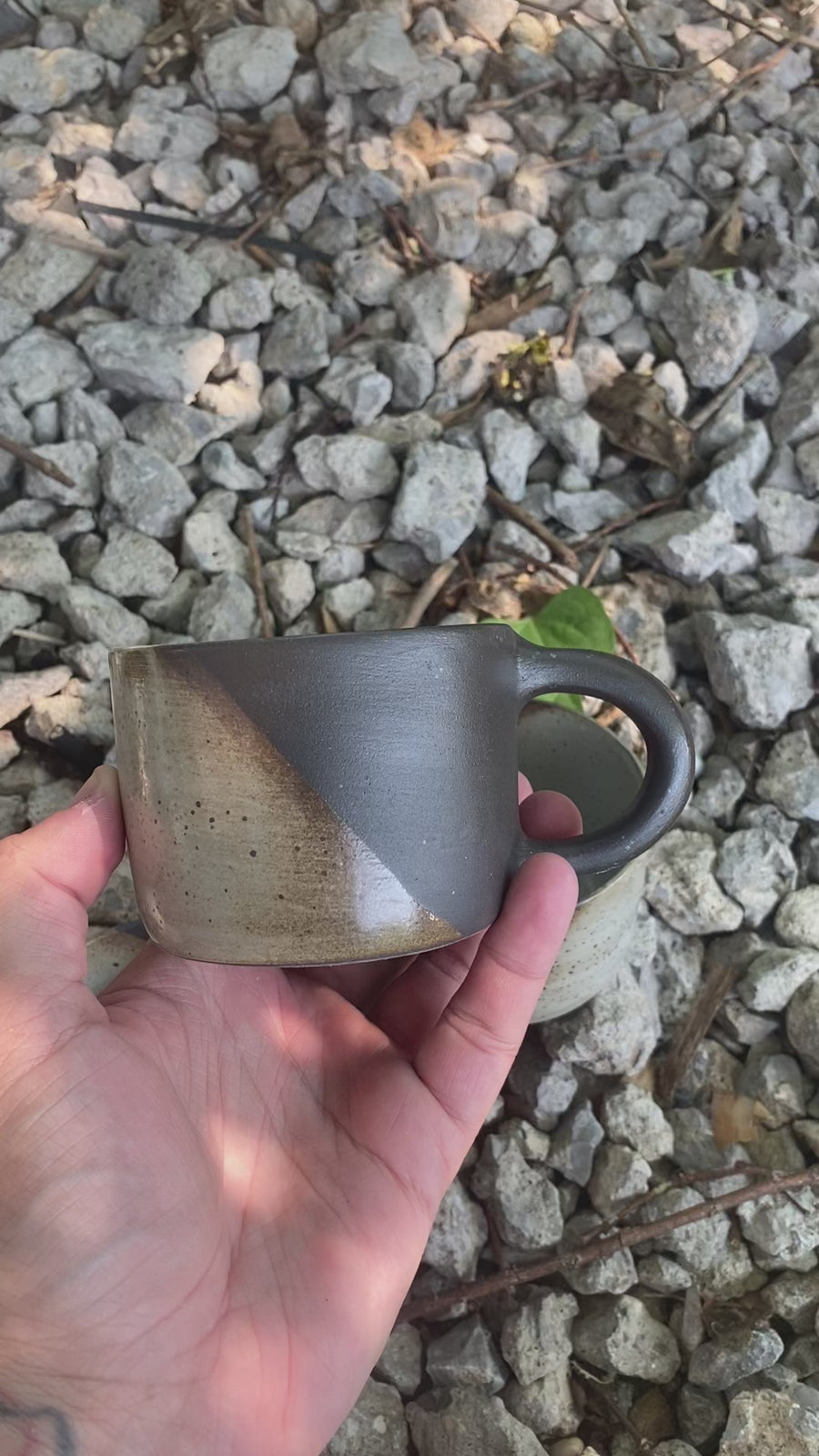 Burl Mug